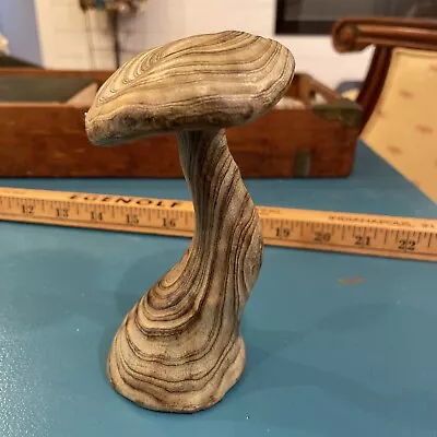 Vintage Sculpture By C. M. COPELAND JR. Hand Carved Solid Wood Mushroom 5 Inch • $40