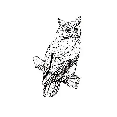 GREAT HORNED OWL Unmounted Rubber Stamp Night Bird Of Prey Halloween #9 • $6.67