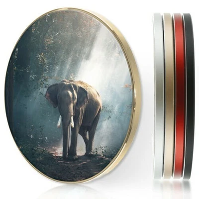 $48.03 • Buy Wireless Charger For Apple Iphone 11/XS/8/Samsung S10/S9/S8 - Elephant Sun Light