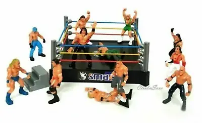 £12.99 • Buy WWE Action Figures Smack Down RAW Wrestler Superstar Fight Ring
