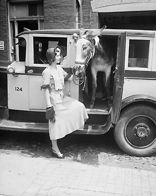$7.99 • Buy Woman With DONKEY In Automobile 1931 Photograph Funny Vintage Car Photo 8X10