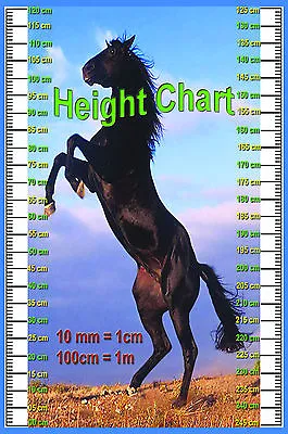 LAMINATED HEIGHT CHART EDUCATIONAL SCHOOLS KIDS POSTER WALL CHART 15X22.5 Inches • £4.99