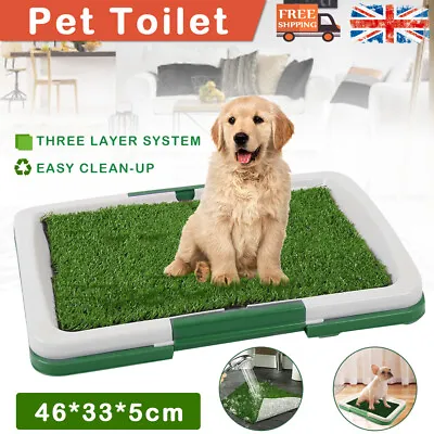 £11.99 • Buy Pet Dog Toilet Mat Indoor Restroom Training Grass Potty Pad Loo Tray Large Puppy