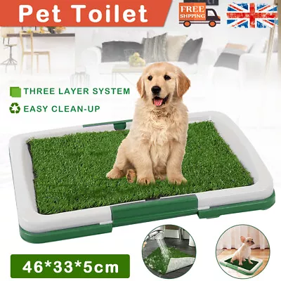 £10.99 • Buy Pet Dog Toilet Mat Indoor Restroom Training Grass Potty Pad Loo Tray Large Puppy