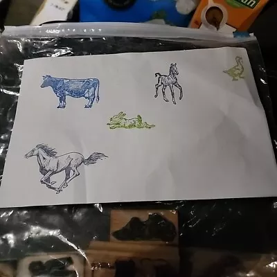 Lot Of 5 Assorted Animal Top Drawer Rubber Stamps Underground Cartoon Art Stamps • $30