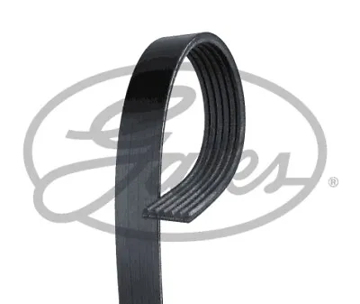 V-Ribbed Belt For VW LAND ROVER KIA JEEP HYUNDAI FORD USA AUDI CPLA-6C301-FA • $37.34
