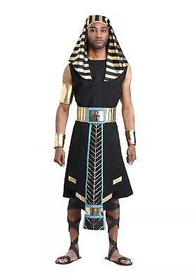 Men's Dark Pharaoh Plus Size Costume • $41.98