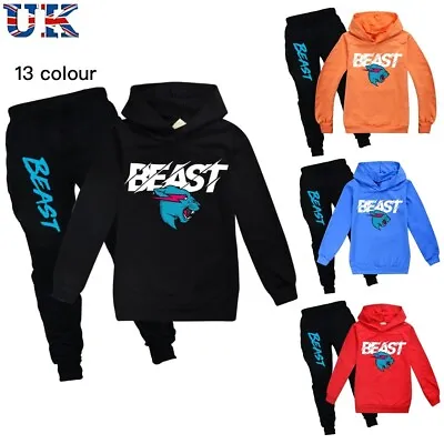 Kids Mr Beast Lightning Cat Print Casual Tracksuit Set Hoodie Tops+Pants Suit UK • £19.99