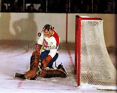 NHL Montreal Canadiens Goalie Charlie Hodge Game Action Color 8 X 10 Photo Pic • $5.59