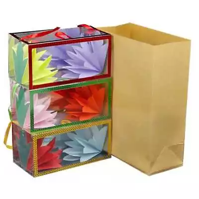 Brilliant Magic Appearing Flowers Box From A Paper Bag Easy Amazing Magic Trick! • £10.99