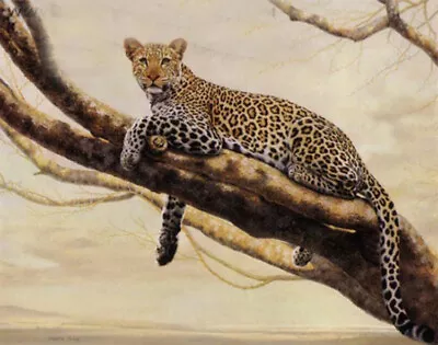 African Leopard By Charles Frace  Spotted Big Cat Wildlife Paper Art Print  • $34.99