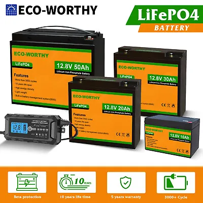 10AH 20AH 30AH 50AH 12V Deep Cycle Lithium Battery LiFePO4 For RV Boat Solar Kit • $89.99
