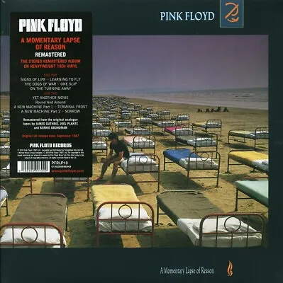 VINYL Pink Floyd - A Momentary Lapse Of Reason • $20.57