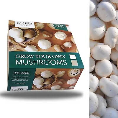 Carbeth Plants White Mushroom Growing Kit - Grow Your Own Suffolk Mushrooms • £12.99