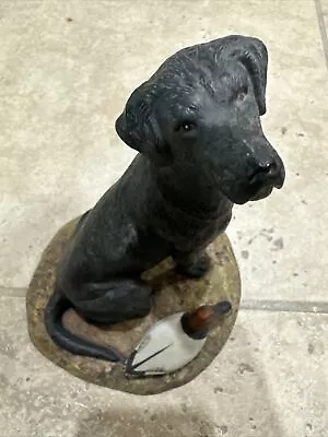 Vintage Black Lab Retriever & Duck Franklin Porcelain Ready To Retrieve 1982 • $45