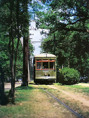 New Orleans Streetcar By Chip Quaglino 11 X 14 • $8.50