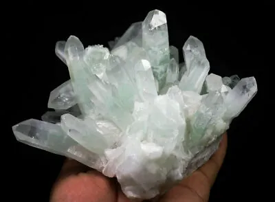 2.84lb NATURAL Green Ghost Pyramid Quartz Crystal Cluster Point Mineral Specime • $239.99