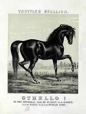 11869.Decor Poster.Room Wall.Home Vintage Art Design.Othello Black Horse • $60