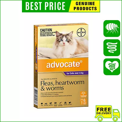 ADVOCATE PURPLE Pack For Cats Over 4 Kg 6 Pipettes Flea Heartworm Treatment • $79.98