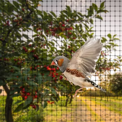 Heavy Duty Fruit Veg Cage Netting Anti Bird Fly Garden Pond Net Protection Mesh • £7.95