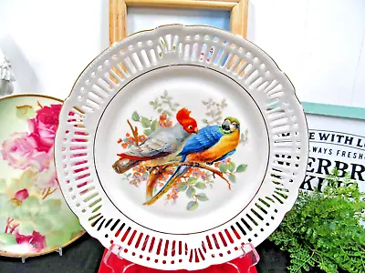 Bavaria Germany Cabinet Plate Open Edges Blue Parrot Design Bird Plate Charger • £37.95