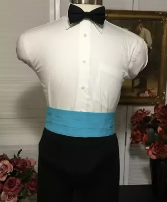 Vintage Vicky Davis Turquoise Cummerbund Wedding Singer Bartender • $20