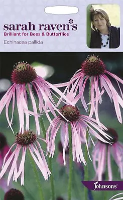 Johnsons - Sarah Raven's Flowers - Echinacea Pallida - 50 Seeds • £4.80