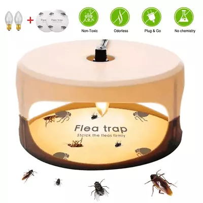 Electric Flea Bed Bug Trap Indoor Lamp Catch Light Non-Toxic Odorless 2x Bulbs • $12.99