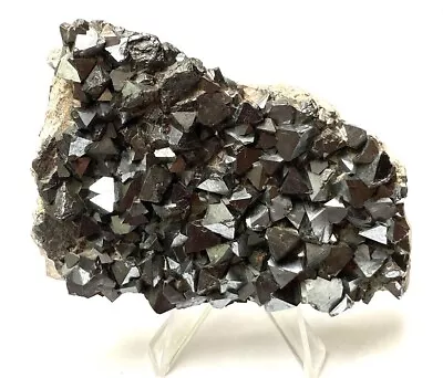 Magnetite - Dozens Of Octahedral Crystals On Matrix - 276 Grams - 3.75  X 2.5  • $145