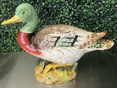 Vintage Large Cantagalli Florence Hand Painted Majolica Mallard Duck 8.75”H 13”L • $20