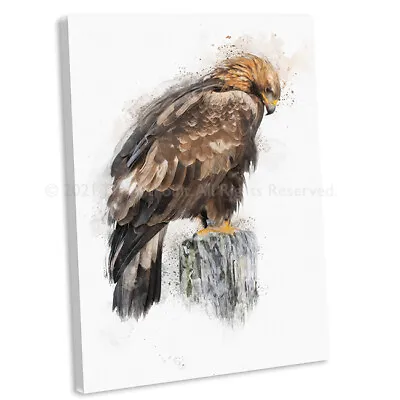 £17.99 • Buy Golden Eagle Watercolour Style Canvas Print Bird Wall Art Picture