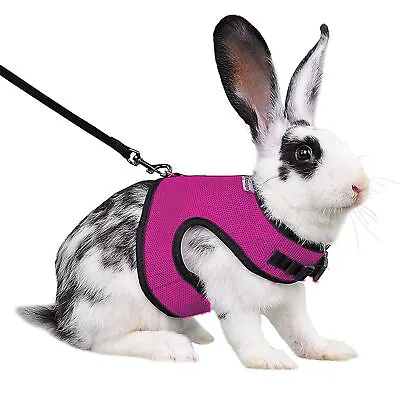 Rabbit Clothes No Pilling Washable Small Animal Rabbit Vest Clothes Casual Wear • $8.78