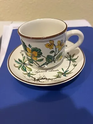 Villeroy & Boch Botanica Expresso Cup Andd Saucer Very Good • $9.50