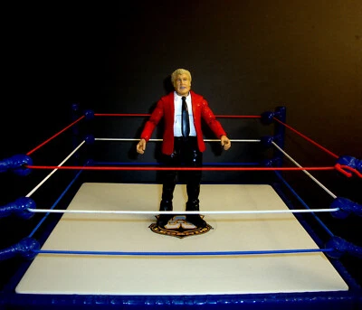 $79.97 • Buy WWE HARLEY RACE MANAGER VADER CUSTOM FIGURE MATTEL ELITE Classic Wwf Aew WCW