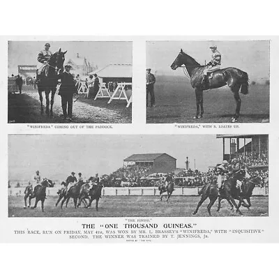 HORSE RACING The One Thousand Guineas Won By Winifreda - Antique Print 1900 • £9.99