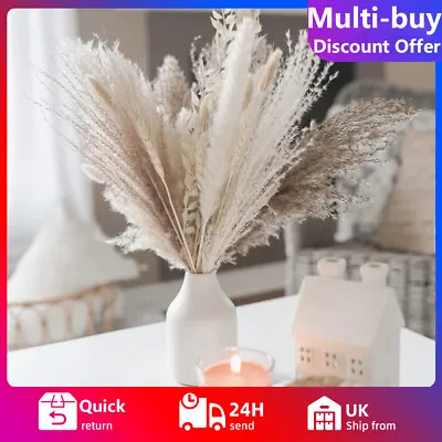 Natural Dried Reed Flowers Pampas Grass Dried Flowers Bouquet Flowers Home Decor • £7.59