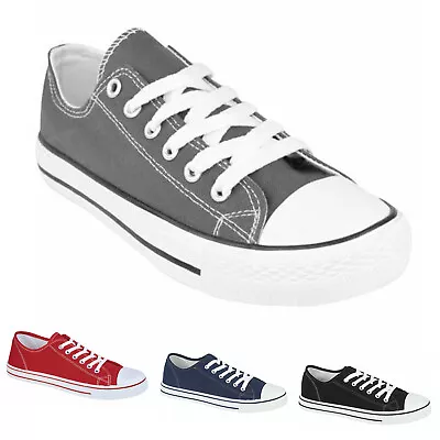 Mens Lace Up Trainers Casual Plimsolls Boys Flat Baseball Pump Shoes Gym Sneaker • £6.99