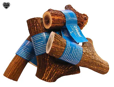 £14.36 • Buy The Original, 100% Natural, Antler Dog Puppy Chew, All Sizes