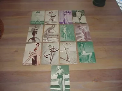 13 1950's Pin Up Mutoscope Arcade Cards Made In Usa • $29