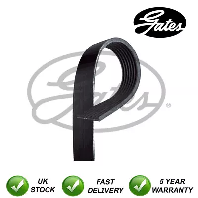 Gates V-Ribbed Belts Fits Nissan Note Qashqai Micra NV200 1.6 #6197 • £17.96