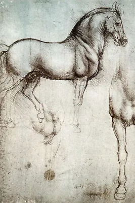 Leonardo Da Vinci Study Of A Horse (1490) Painting Photo Poster Print Art Gift • £6.95