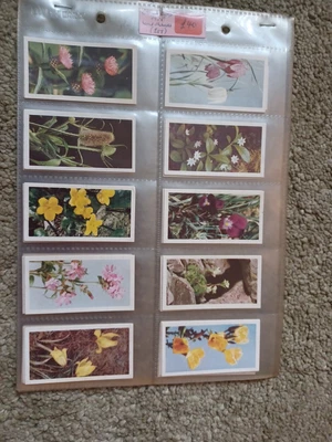 £7.50 • Buy Brooke Bond Wildflowers 1st Series Full Set Vgc