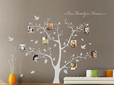 Our Family Tree Forever Photo Frame Wall Stickers Decal Vinyl Decor UK RUI154 • £72.60