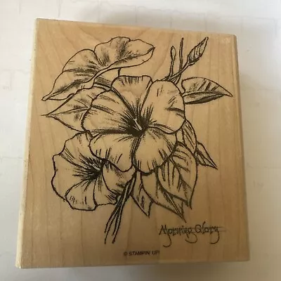 Stampin Up Morning Glory Mother Teresa Bouquet Flower Large • $19.99