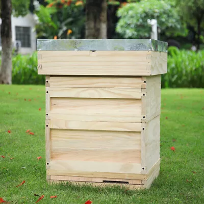 UK National Bee Hive Supply Brood Box Beekeeper Beekeeping Wooden Beehive Kit • £109.95