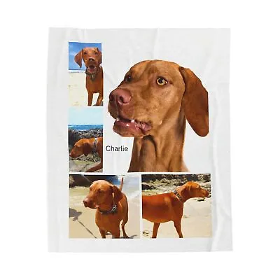 Vizsla Custom Throw Blanket Personalized Dog Photo Gift 30x40 50x60 60x80 • $49.99
