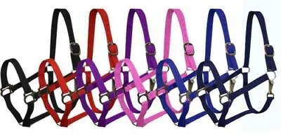 2-Ply Nylon Cob Halter • $12.95