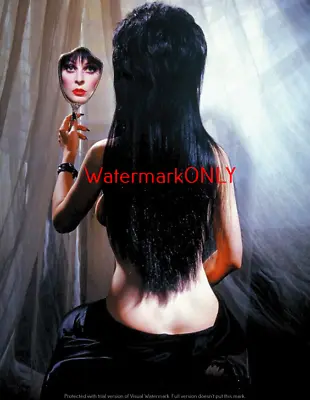 Cassandra Peterson  Elvira   Mistress Of The Dark  SEXY  Pin-Up  PHOTO! #(214) • $9.99