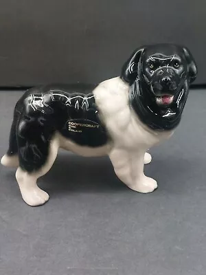 Vtg Newfoundland Dog Black/White Ceramic Pottery Decor Coopercraft England  MINT • $52.35