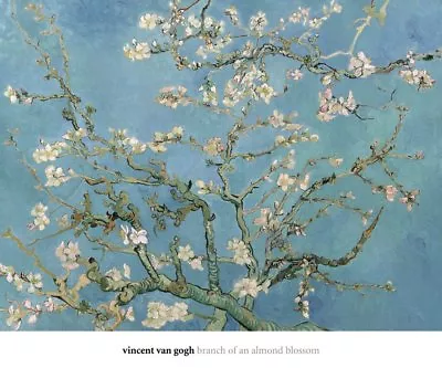 Almond Blossom 1890 By Vincent Van Gogh Art Print Floral Museum Poster 20x24 • $21.95